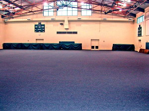 Carpet flooring for Gyms