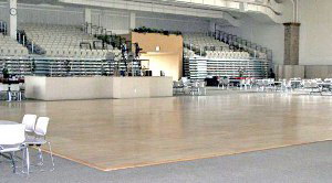 Timber Dance Floor